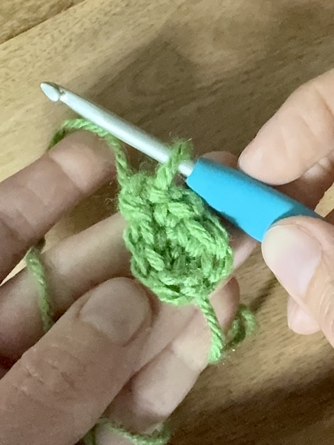 Apple coaster leaf in green yarn